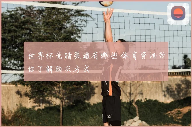 世界杯竞猜渠道有哪些 体育资讯带你了解购买方式