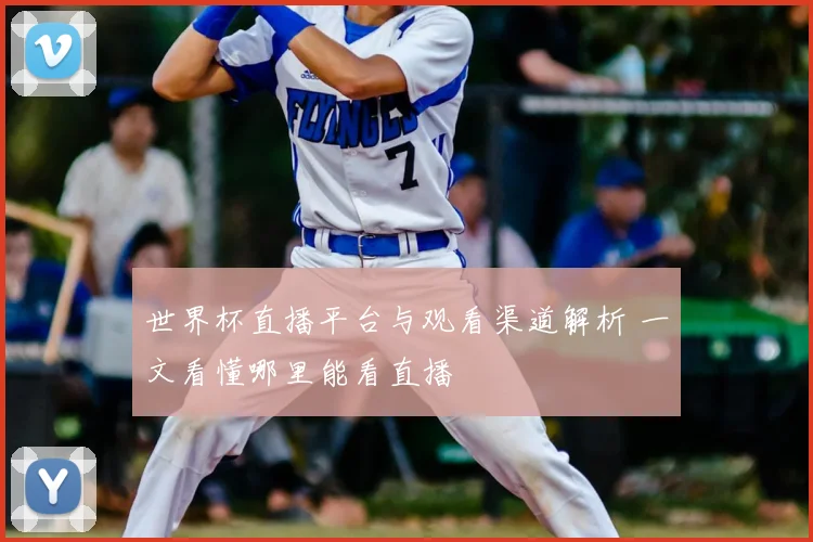 世界杯直播平台与观看渠道解析 一文看懂哪里能看直播